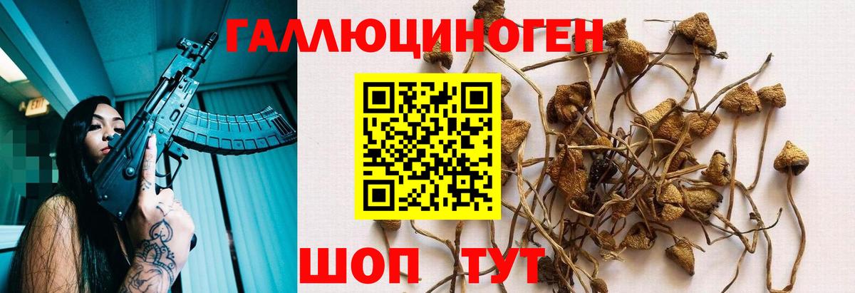 Галлюциногенные грибы ЛСД  Вход с VPN  Верхний Уфалей  даркнет сайт  Галлюциногенные грибы MAGIC MUSHROOMS 