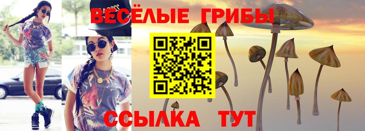 Галлюциногенные грибы мицелий Верхний Уфалей